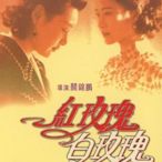 紅玫瑰白玫瑰 趙文瑄/陳沖/葉玉卿 DVD收藏版 盒裝 光明之路