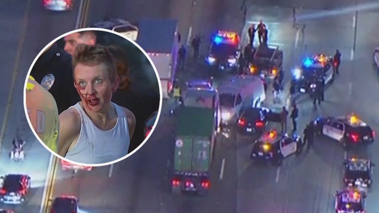 Wild police chase through LA began after woman got in screaming match with neighbors