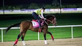 Internationals Seeking Kentucky Derby Spots in Dubai