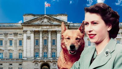 The royal pets: meet the animals who live in a palace