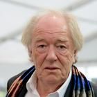 Michael Gambon