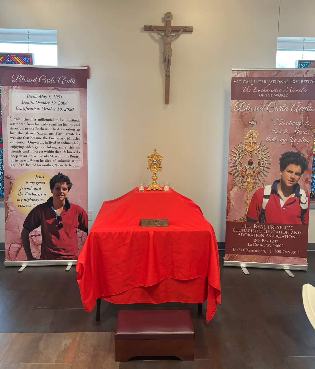 St. Jude Parish in New Lenox to show miracle exhibit created by millennial headed toward sainthood