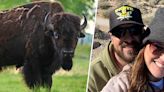 Woman gored by bison during engagement trip ends up with a sweet hospital proposal