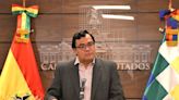 Solicitan blindar a ALP proceso de preselección - El Diario - Bolivia