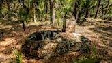 'Prettiest country': Newly preserved Creek Ranch symbolizes natural Florida