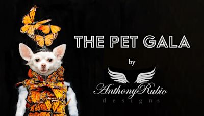 ‘The Pet Gala’ Designer Explains Designer Inspirations