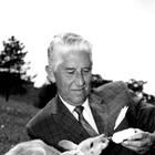 Marlin Perkins