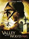 Valley of the Wolves: Iraq