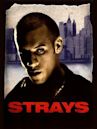 Strays (1997 film)