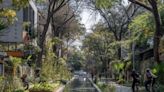 La salomónica obra para sacar a la superficie los ríos entubados de Ciudad de México: cambiar los coches por el agua