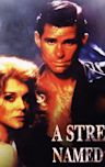A Streetcar Named Desire (1984 film)