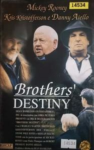 Brothers' Destiny