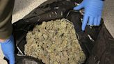 International crime groups’ pot grows getting DEA look | Northwest Arkansas Democrat-Gazette