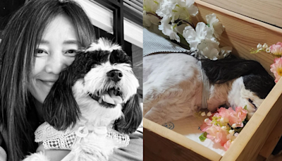 韓女星愛犬遭關10小時慘死 痛喊「沒收到道歉」：牠已僵硬冰冷⋯