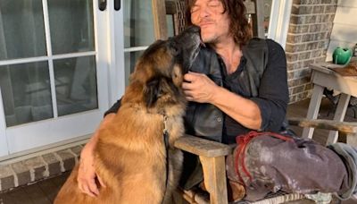 Tristeza por la muerte de Seven, el perro que fue el “mejor compañero” de Daryl en The Walking Dead