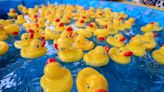 Today is: National Rubber Ducky Day