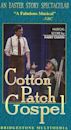 Cotton Patch Gospel