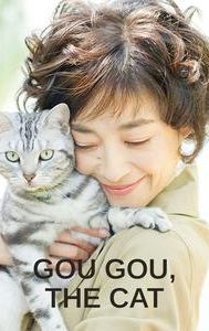 Gou Gou, the Cat