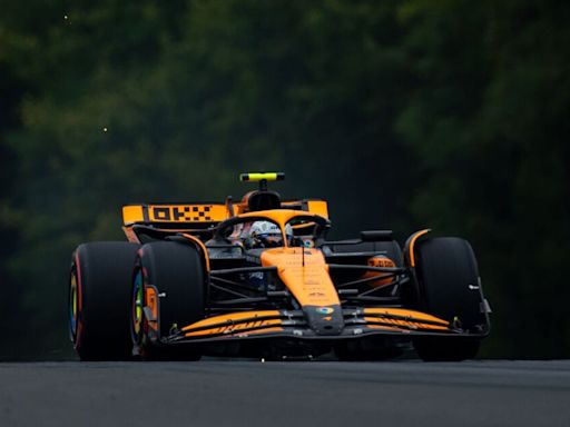 Norris heaps misery on Verstappen as McLaren dominate Hungarian GP qualifying