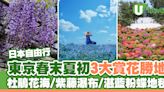 東京春末夏初3大賞花勝地！「東京新百景」杜鵑花海/紫藤瀑布/湛藍粉蝶地毯 | U Travel 旅遊資訊網站