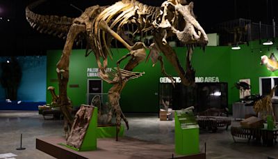 Chocolate and dinosaurs, oh my! The Indiana Dinosaur Museum opens this week in South Bend