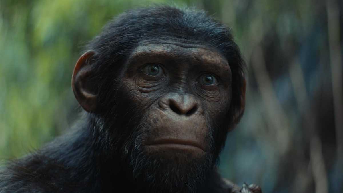 Movie Review: 'Kingdom of the Planet of the Apes'