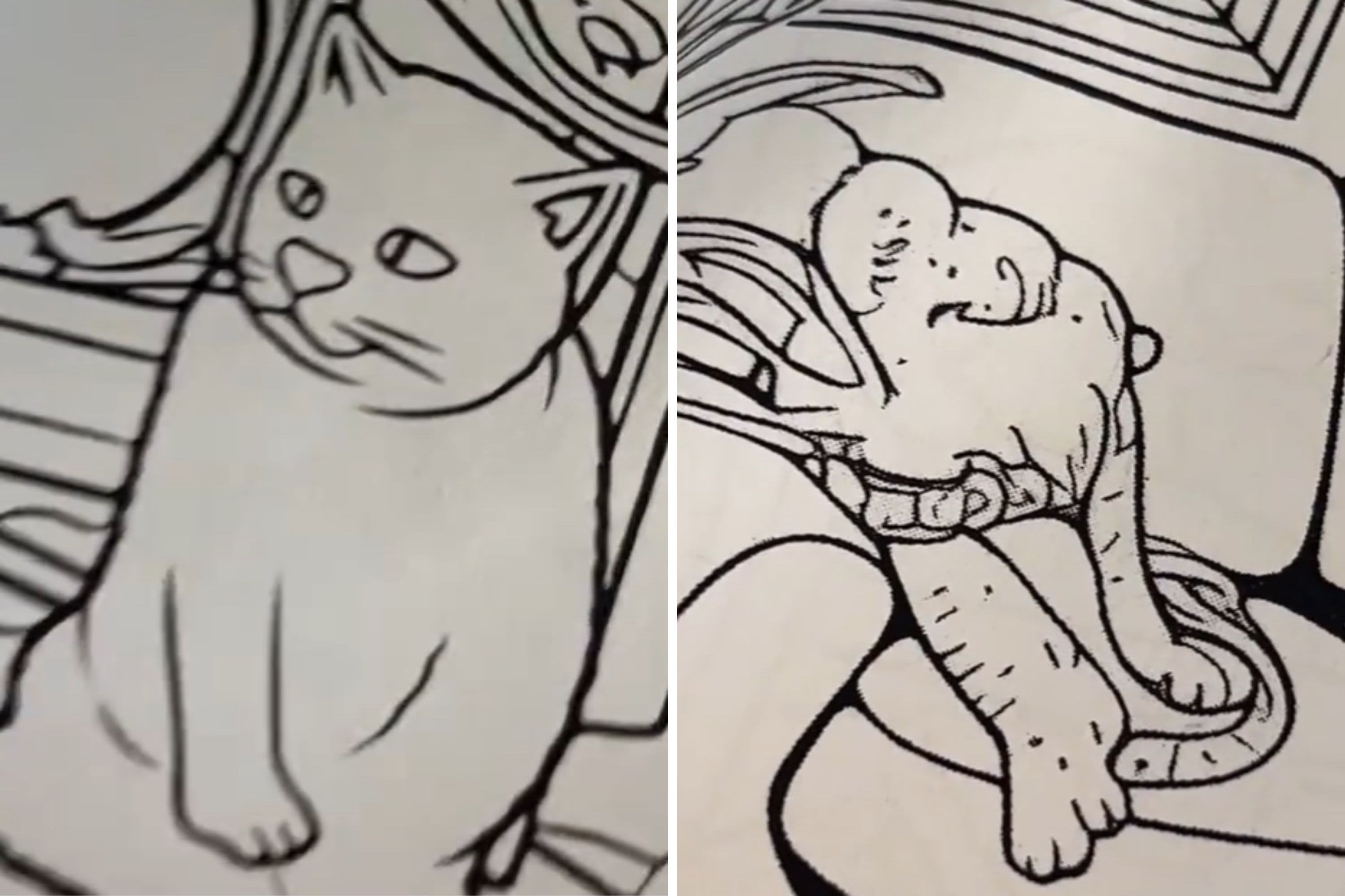 Woman orders coloring book online, art gets increasingly weird