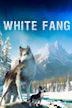 White Fang