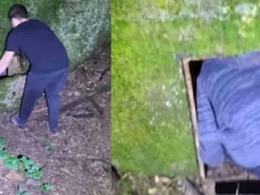 Watch: On Walk In Forest, Man Discovers A Hidden Underground Tunnel - News18