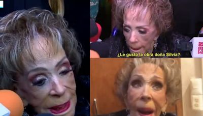 Silvia Pinal casi es “aplastada” por la prensa en un homenaje que le prepararon