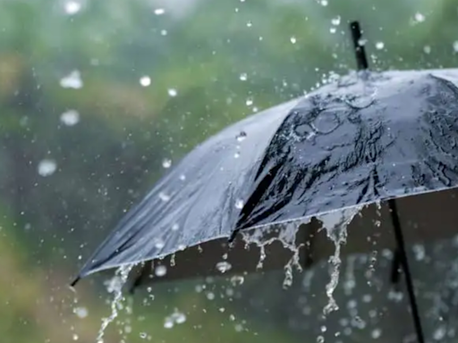 Kerala to receive heavy rains; IMD issues red alert in some districts for May 19, 20 | Thiruvananthapuram News - Times of India