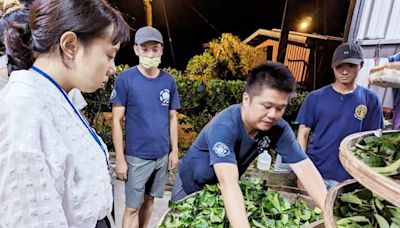 新北好茶推預購優惠支持茶農 一起響應521國際茶日 | 蕃新聞