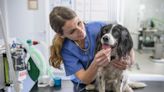 'Vital' health check for pets that over one million owners are guilty of neglecting