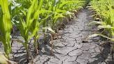 Climate change impact on agriculture: 109 dists categorized as ‘very highly’, 201 ‘highly’ vulnerable - ET Government