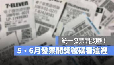 統一發票5、6月開獎號碼來囉！113 年發票中獎號碼看這裡