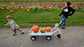 Orange season: Here's where to pick the perfect pumpkin in Central Mass.