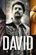 David (2013 film)