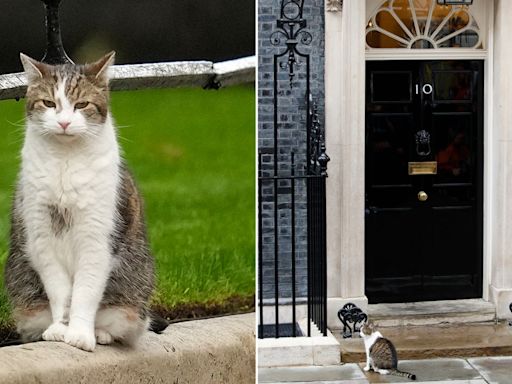 Larry the Cat, the United Kingdom's 'chief mouser,' outlasts five prime ministers