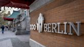 Berlin Zoo closes door to visitors over bird flu case