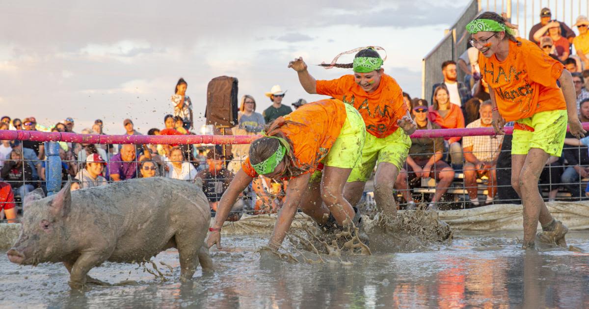 Relax, recharge and reconnect: Step right up to the Laramie County Fair