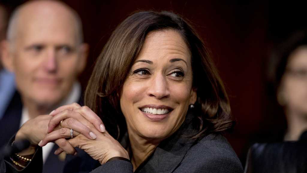 DNC officially announces Kamala Harris as presidential nominee