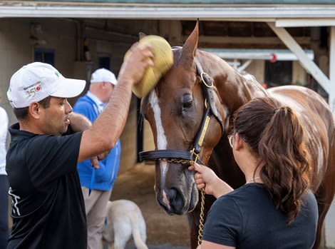 Mystik Dan's Preakness Status Undecided, Others Pass