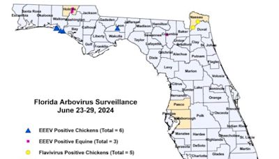 New dengue cases have several Florida counties under mosquito advisory or alert. Here's where