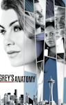 Grey's Anatomy - Season 14