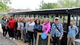 Bus tour sends businesses 'speed dating' around Lennox and Addington