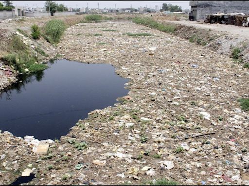 Ludhiana: Activists flag pollution in Sutlej due to Buddha Nullah