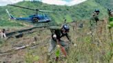 Perú destruye más de 6 mil hectáreas de hojas de coca destinadas al narcotráfico
