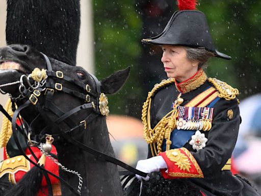 Princess Anne Suffering Memory Loss, Remains Hospitalized After Horse 'Incident': Report