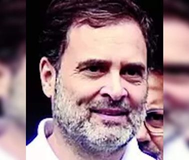 Allahabad High Court Dismisses PIL Against Rahul Gandhi's Election to Lok Sabha | Lucknow News - Times of India