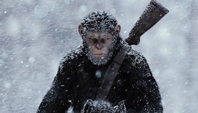 How Caesar's legacy hangs over Kingdom of the Planet of the Apes